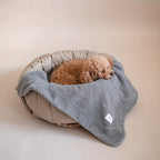 Convenient and waterproof transport for your pet