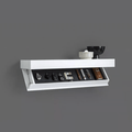 StealthShelf — Hide valuables with style