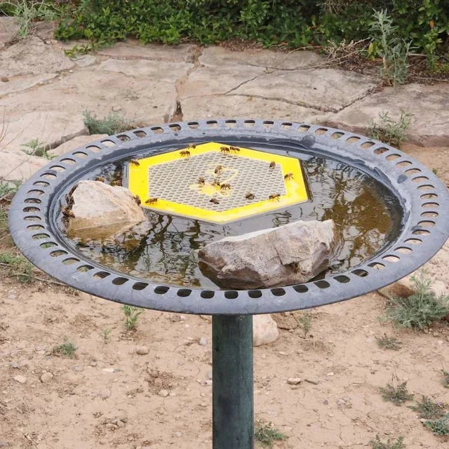 Floating Bee Island - Bee Waterer