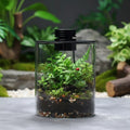 Mini Forest Maker Terrarium Decor Vase
