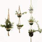 Macrame Plant Hanger Made of Cotton Rope – Stylish Suspension for Pots