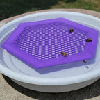 Floating Bee Island - Bee Waterer