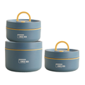 ThermoBox Insulating Lunchbox – 4 Layers With Free Carry Bag
