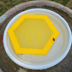 Floating Bee Island - Bee Waterer