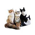 Realistic Cat Cushion