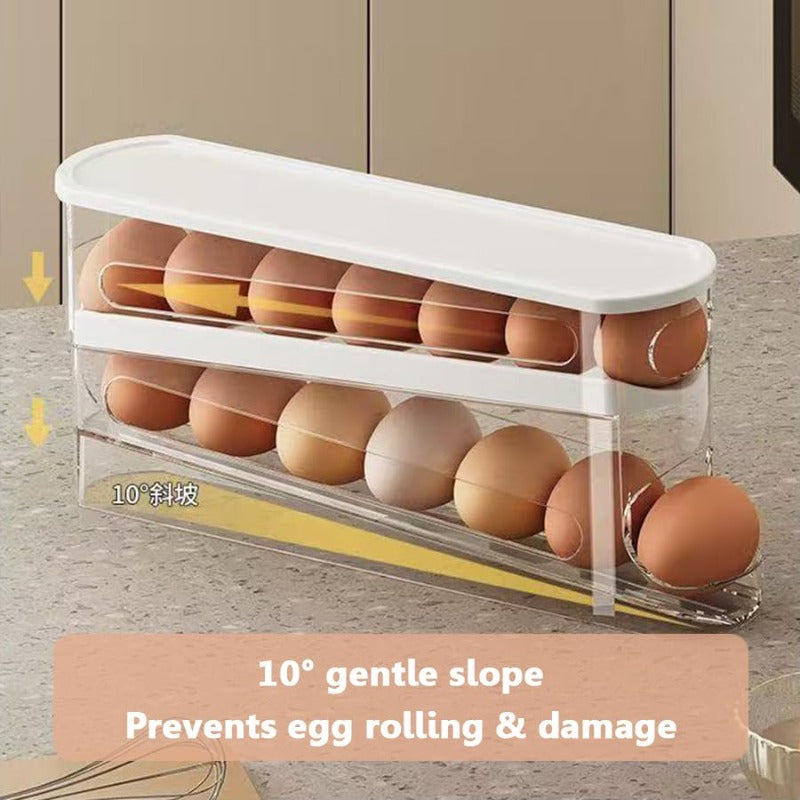 Gravity-Fed Egg Organizer