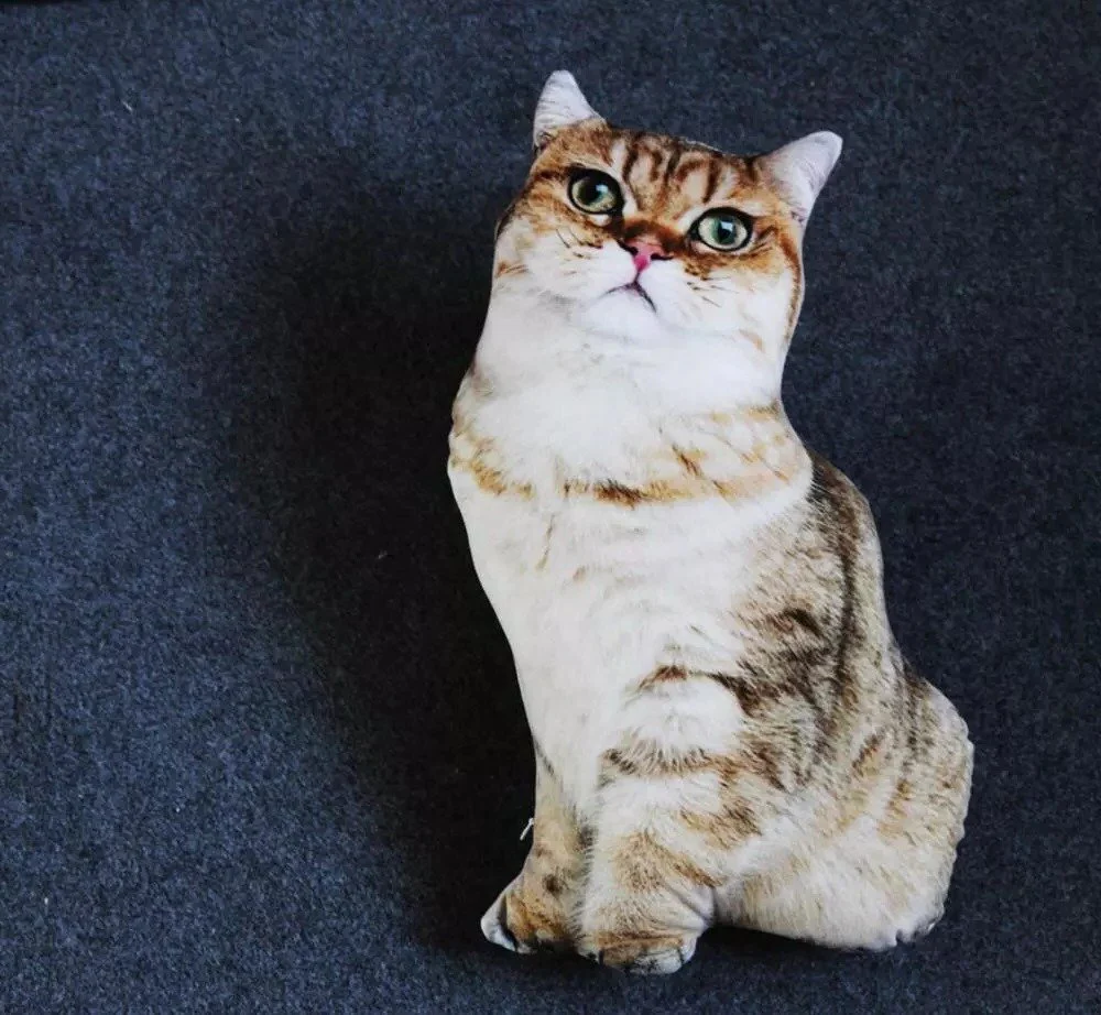 Realistic Cat Cushion