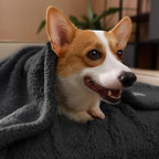 FLOOPIE - Premium Pet Fleece Blanket