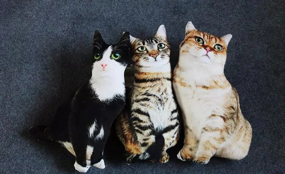 Realistic Cat Cushion
