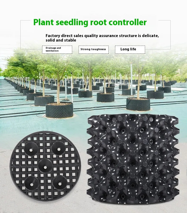 Root control device for plants and landscaping to promote healthy growth