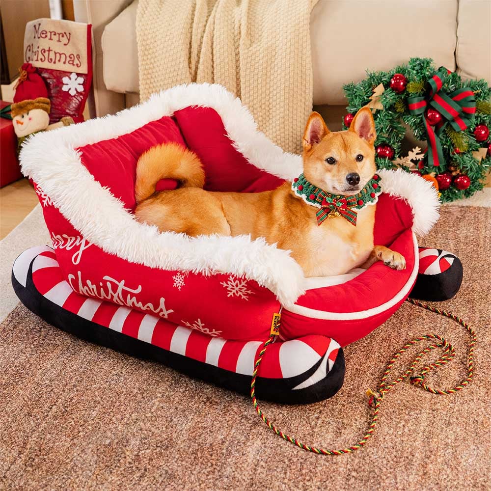 PawSleigh – The seasonal dog bed for cozy winter dreams