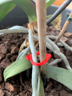 Cat-shaped Plant Clip – Cute Plant Support for Garden and House Plants