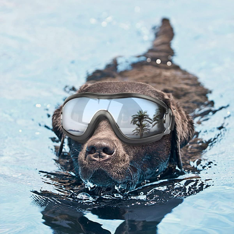 Outdoor Protection Glasses for Dogs