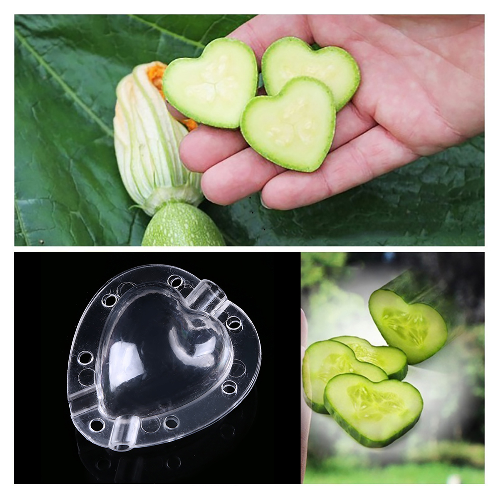 Heart Shaped Vegetable Cutter – Creative Mold Bowl for Vegetables and Fruits