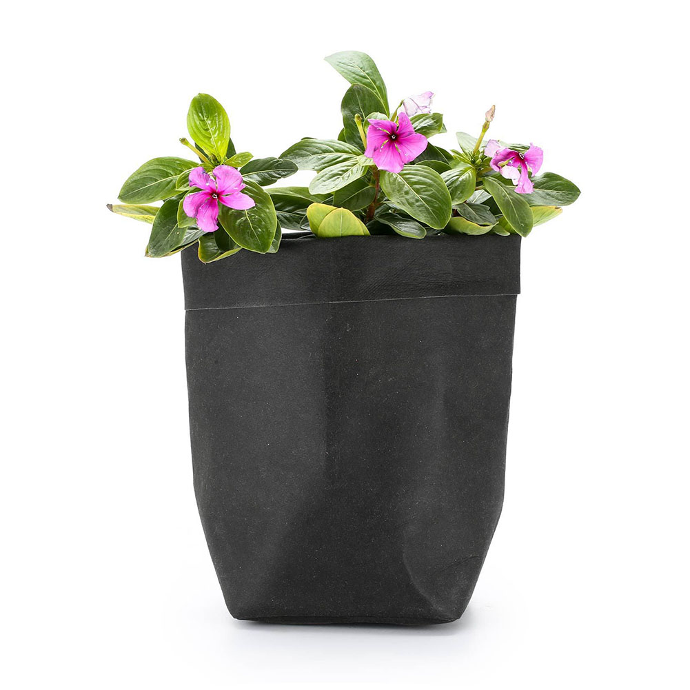 Stylish plant pots made of paper for modern decoration