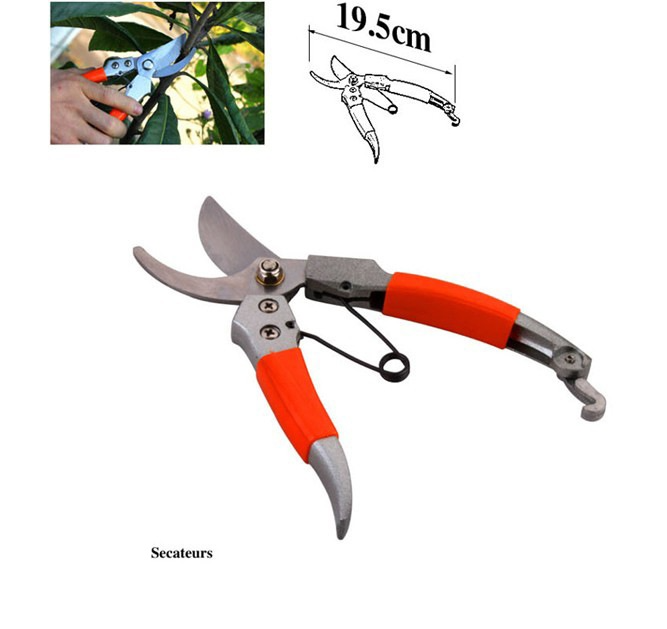 Garden Tool Set with Carrying Bag – 10-piece Set for Garden Care