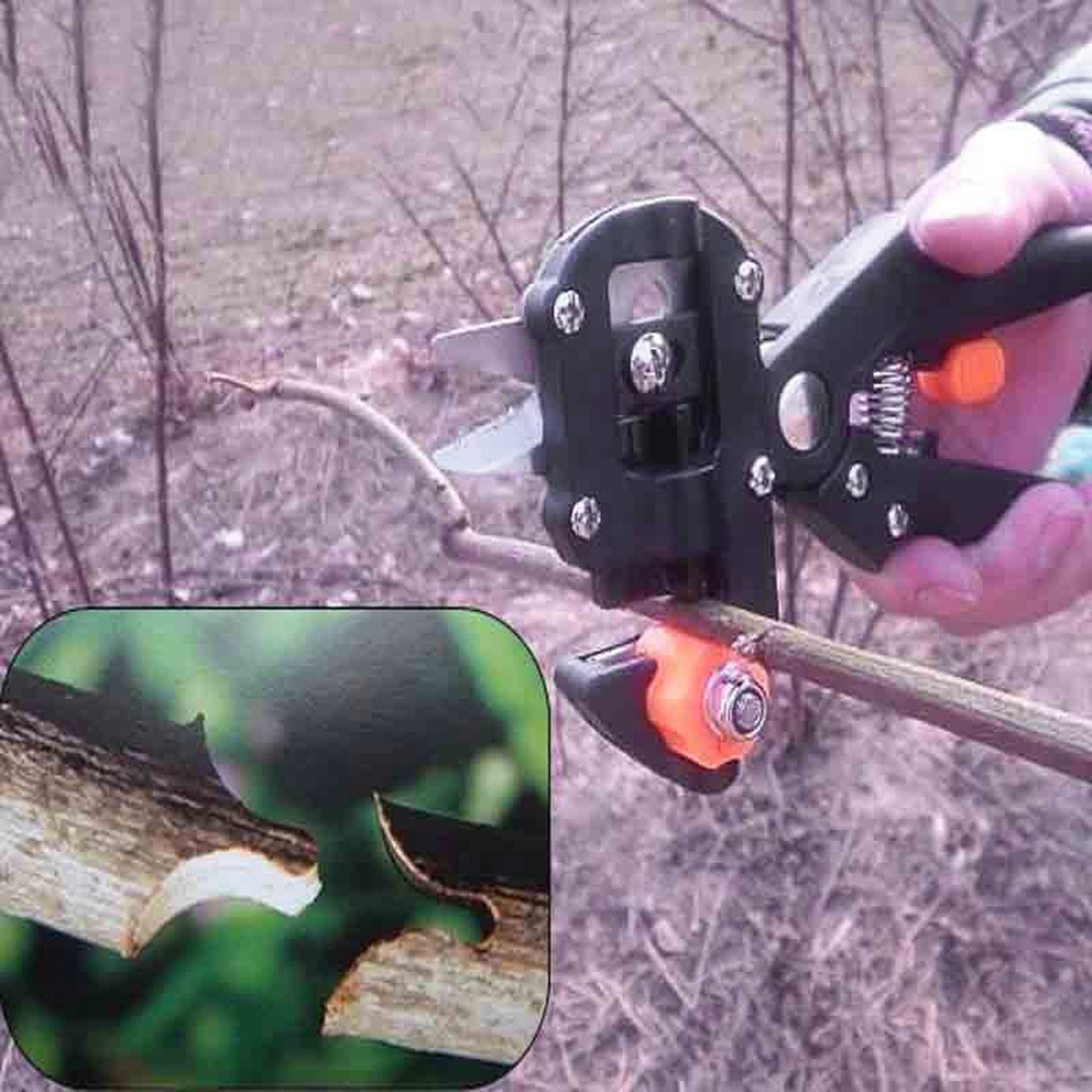 Refinement scissors for garden – Precise cutting tools for grafting and refining plants