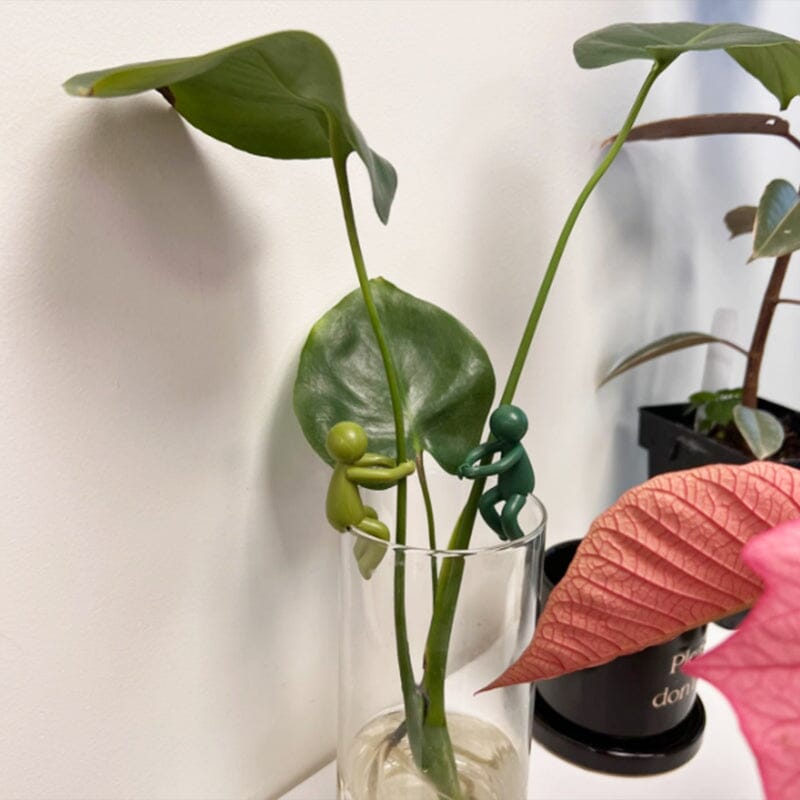 Plant Propagation Friend