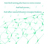 Protective net for garden plants – Green net against pests and animals