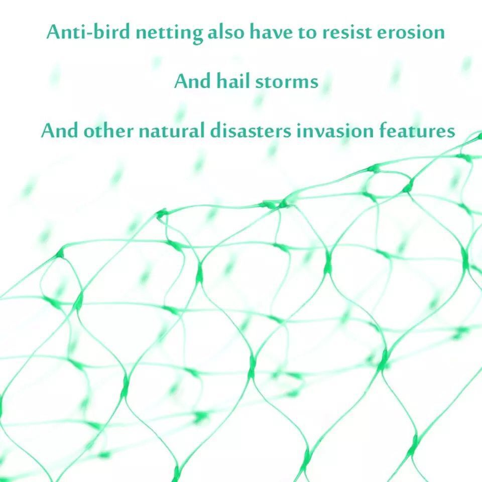 Protective net for garden plants – Green net against pests and animals