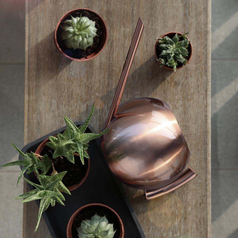 Elegant Watering Can for Precise Watering