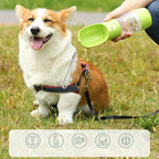 Portable Pet Water and Food Bowl