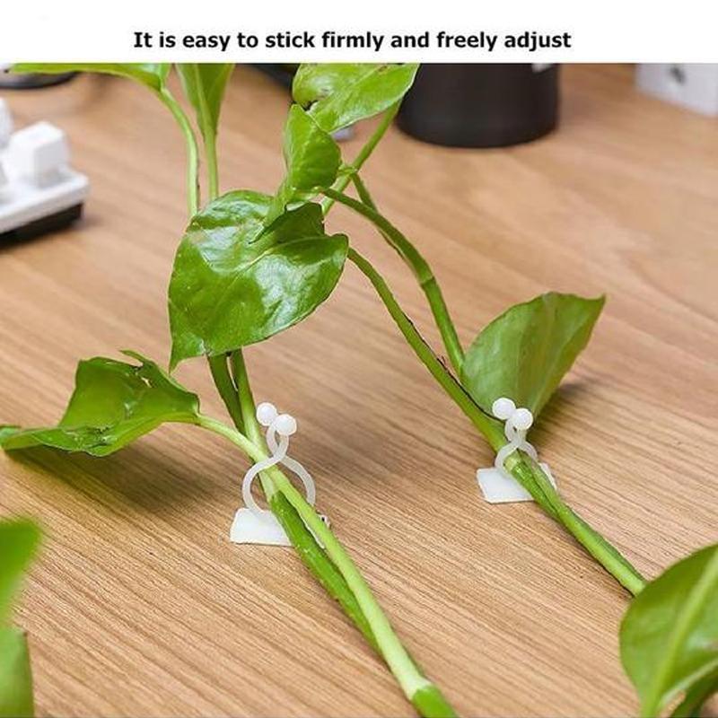 Wall clips for climbing plants (30 pieces)