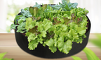 Round Plant Growth Bag – Garden Container for Easy Plant Growth