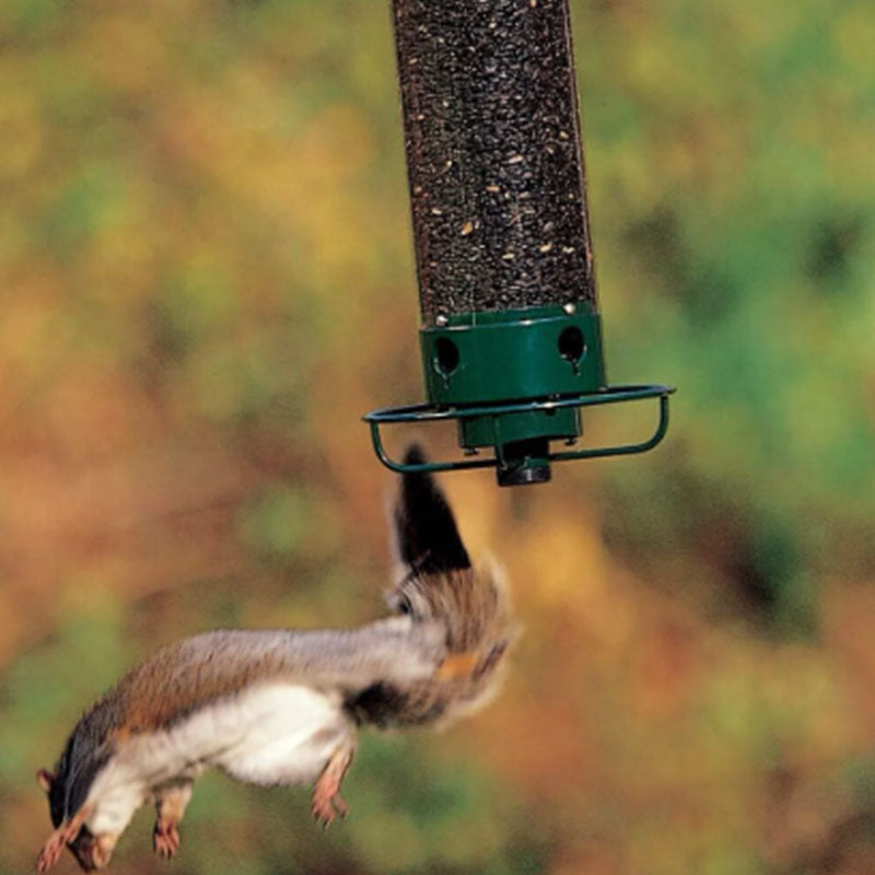 Squirrel-proof bird feeder