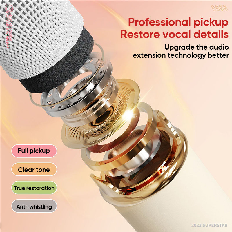 Portable Bluetooth speaker with wireless microphone