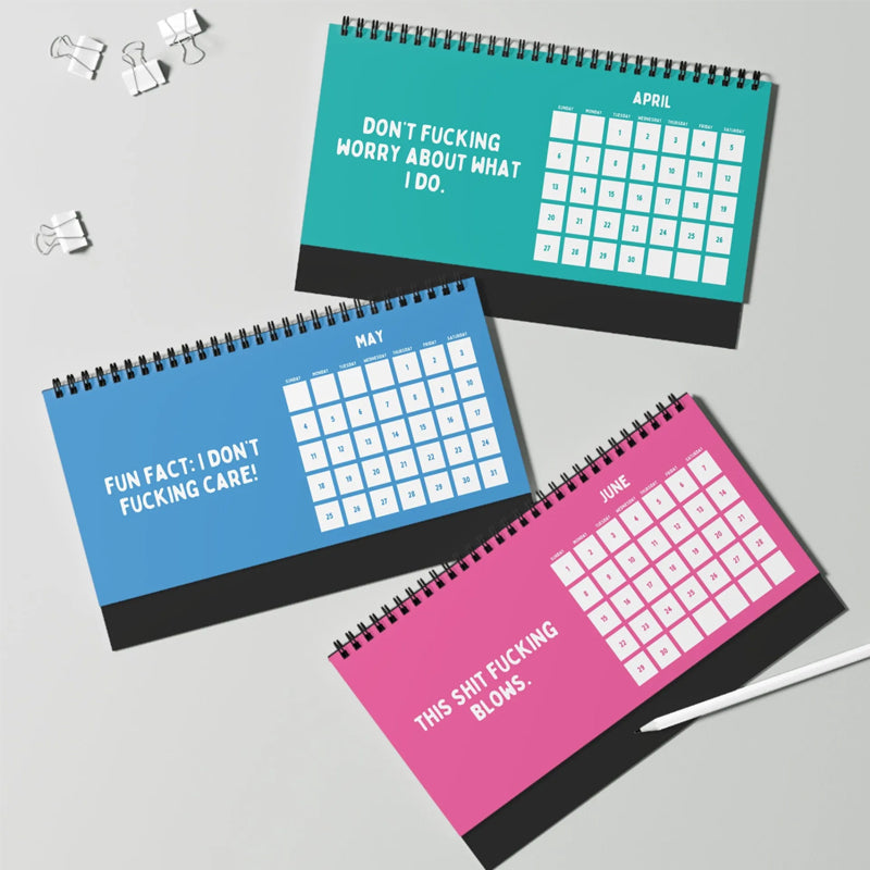 Funny 2025 sarcastic calendar