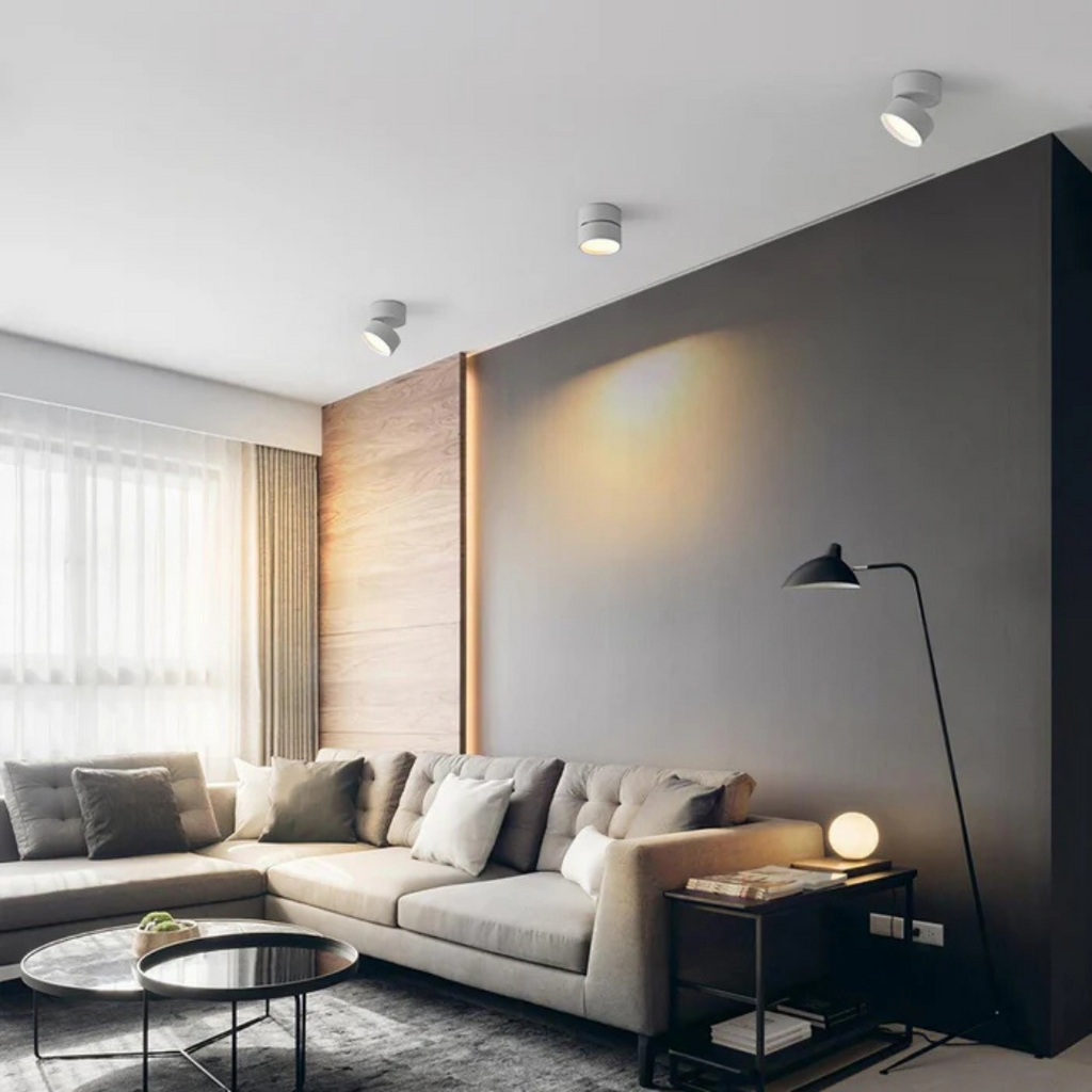 Adjustable LED Ceiling Lamp