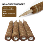 Coconut moss stick for climbing plants – Natural climbing aid for houseplants and garden