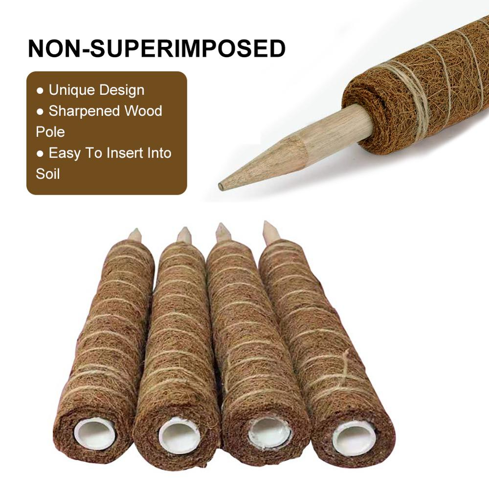 Coconut moss stick for climbing plants – Natural climbing aid for houseplants and garden