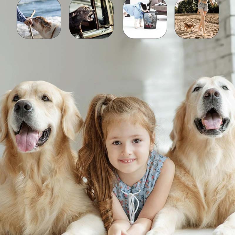 Ultrasound Dog Repeller