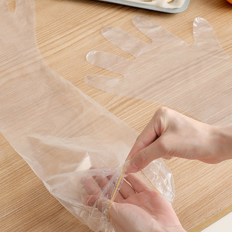 Disposable Gloves