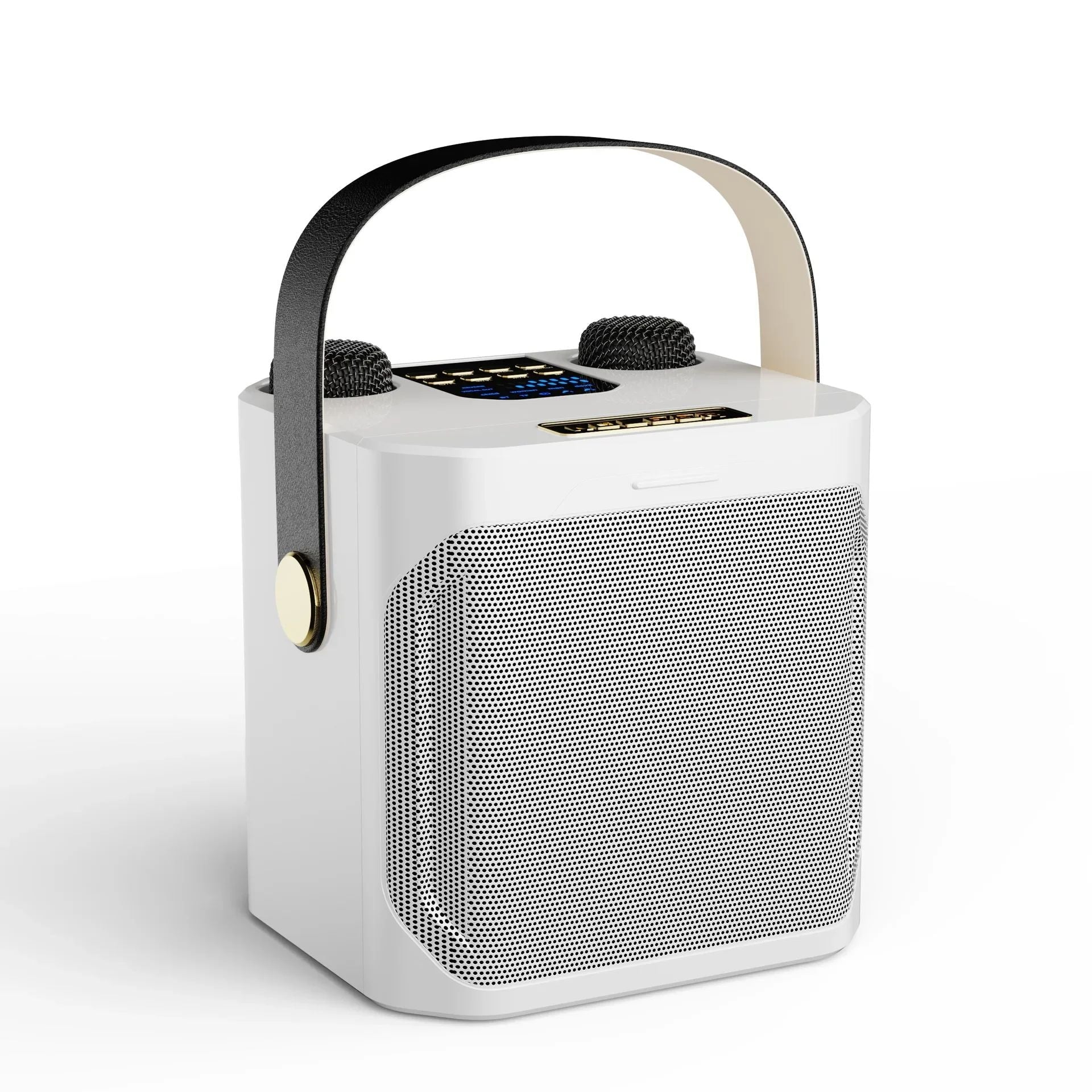 Karaoke Bluetooth Speaker | 360° Surround Sound, Dual Microphones & Portable for Parties and Outdoor Gatherings