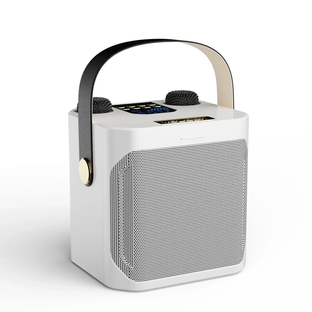 Karaoke Bluetooth Speaker – 360° Surround Wireless Subwoofer with Dual Mics