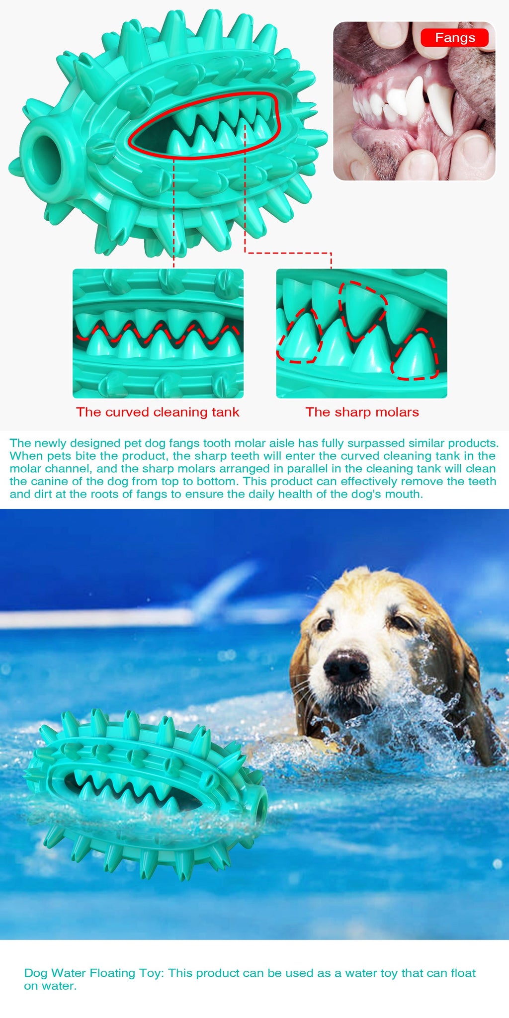 Cactus Chew Ball / For Dogs