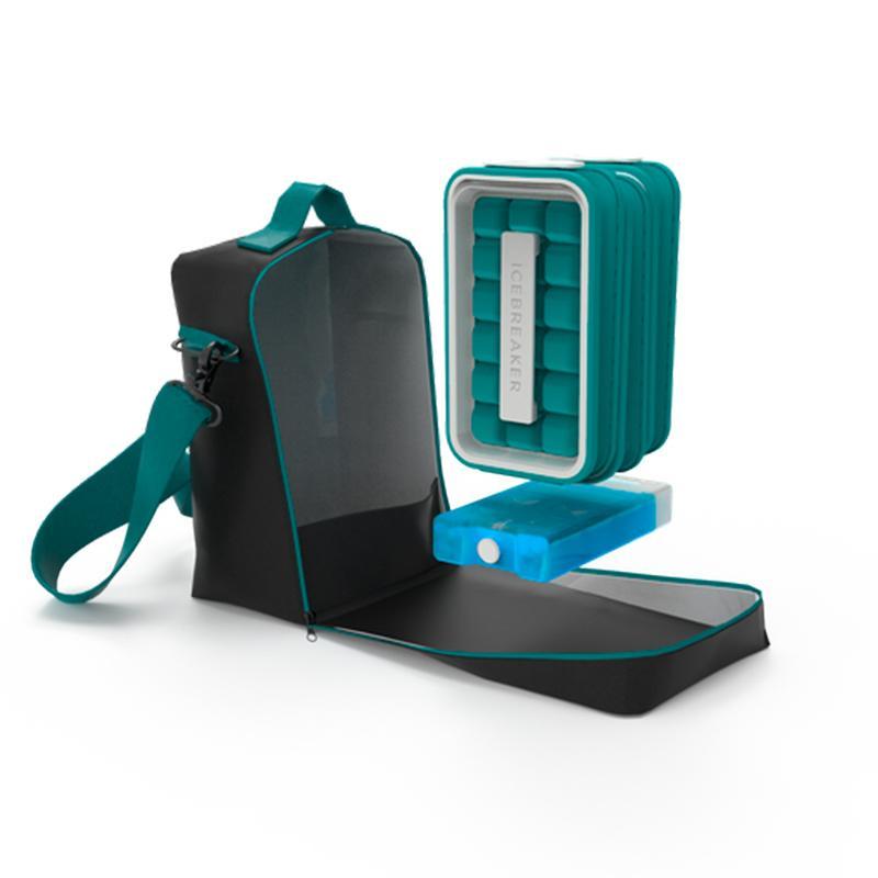 Portable Ice Mold