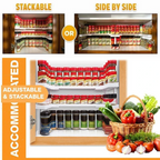 Adjustable Two-Layer Spice Rack