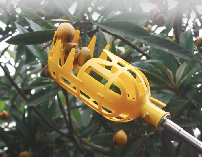 Harvest aid for fruit – Practical fruit grabber tool for trees and bushes