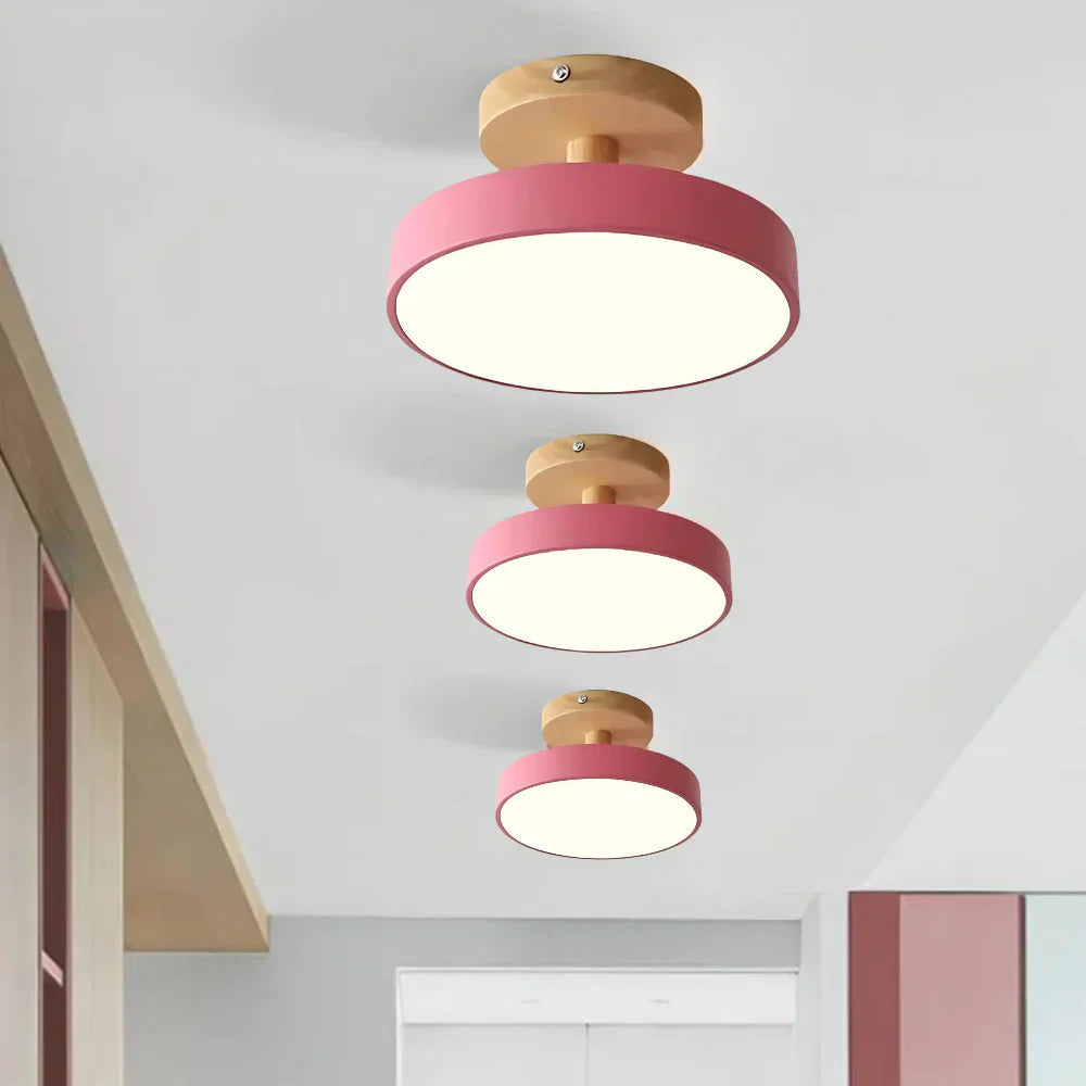 Compact Modern LED Ceiling Lamp