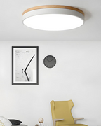Modern Ceiling Lamp with Nature-Inspired Shape