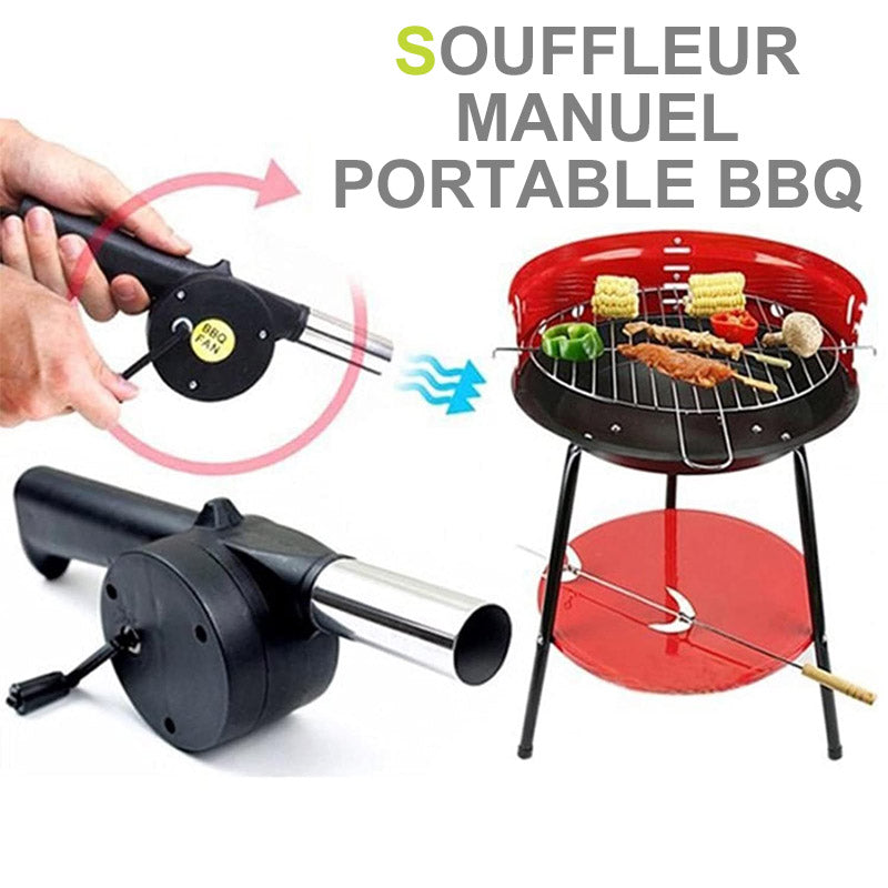 Portable hand blower for grilling