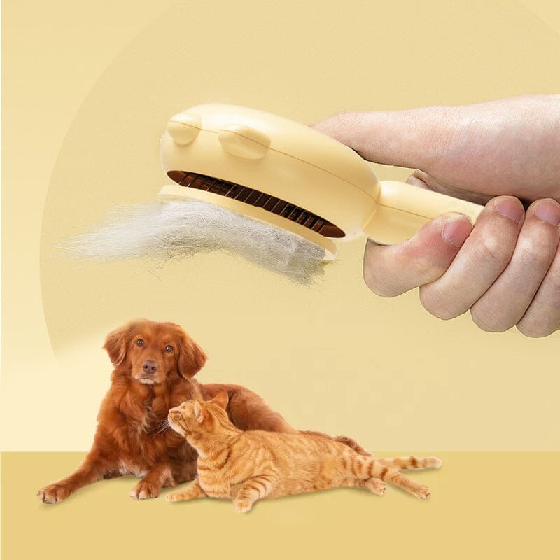 Pet Hair Brush