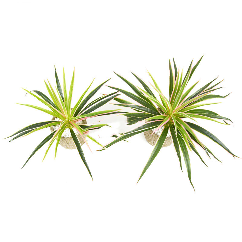 Artificial Grass Plant – Decorative Plant for Home and Office