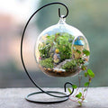 Hanging Glass Herb Pots