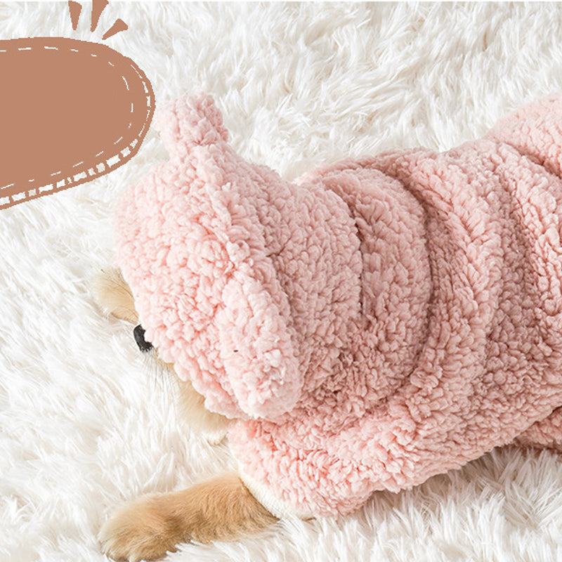 Pet Bathrobe Blanket