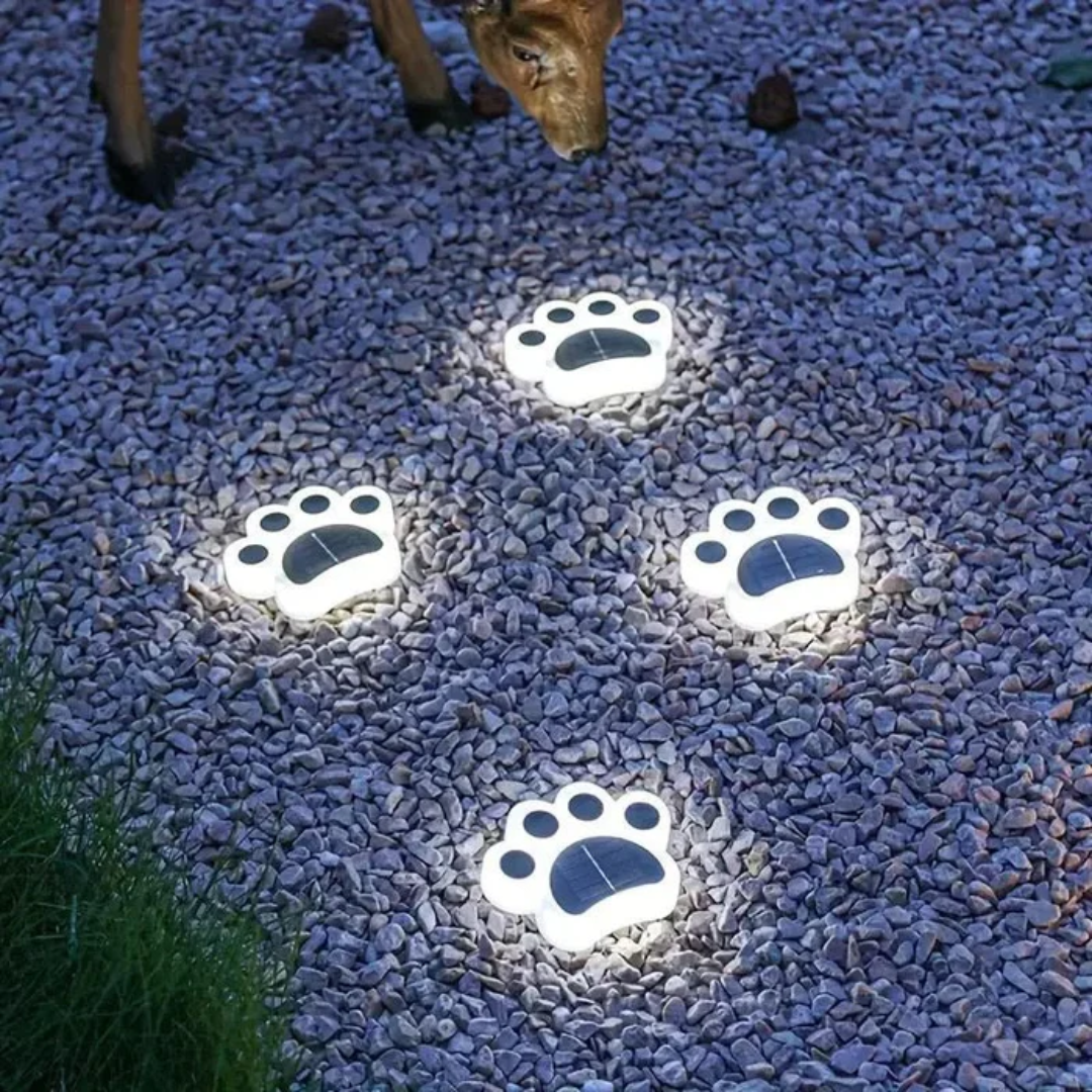 Solar Outdoor Lamp